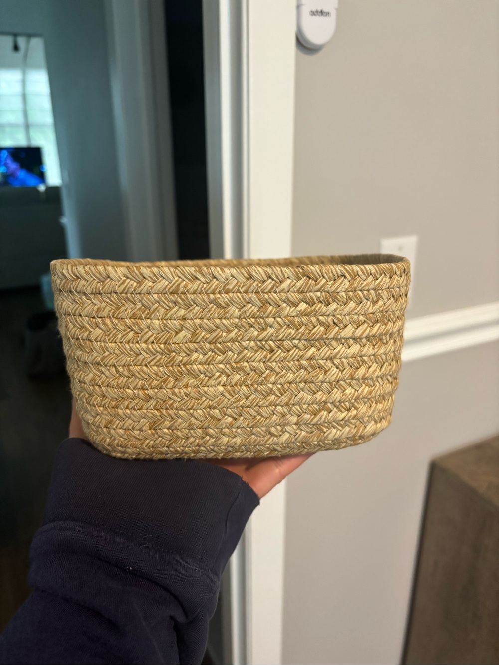 Small Woven Basket